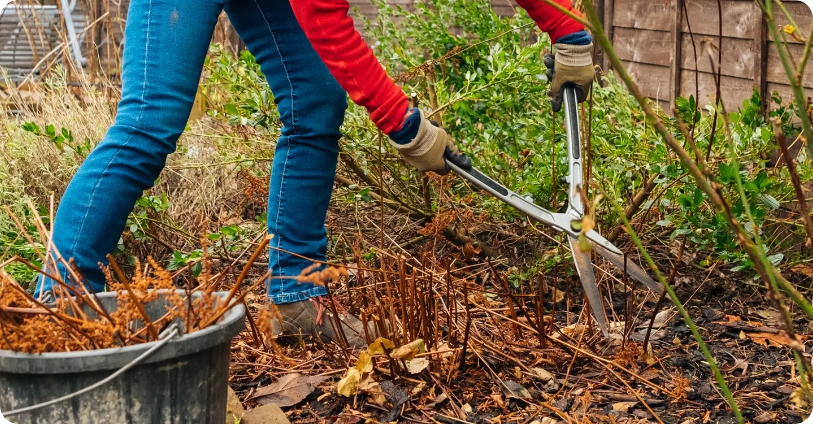 Fall Clean-Up Fall Clean-Up