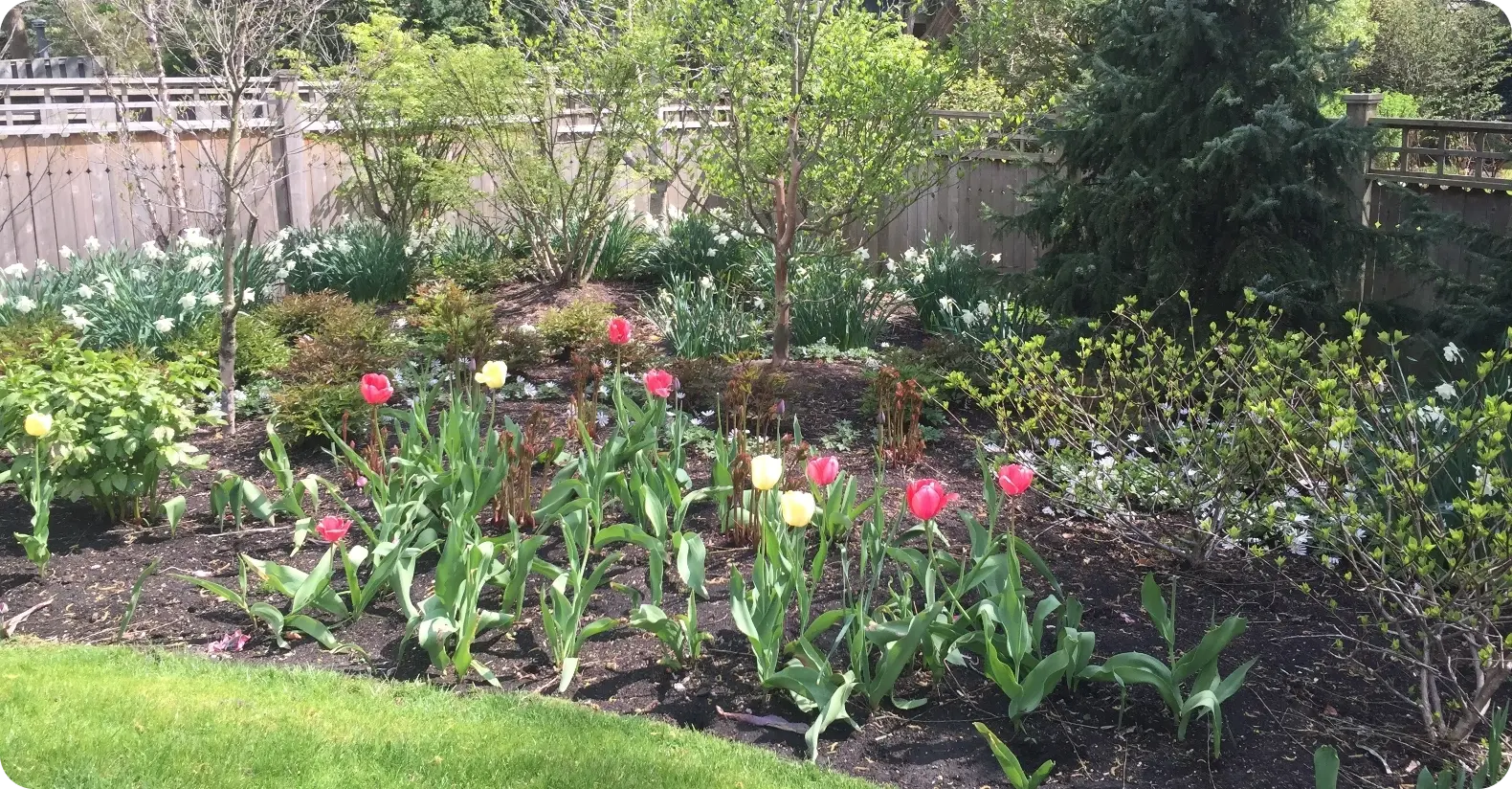 Garden Bed Maintenance Garden Bed Maintenance