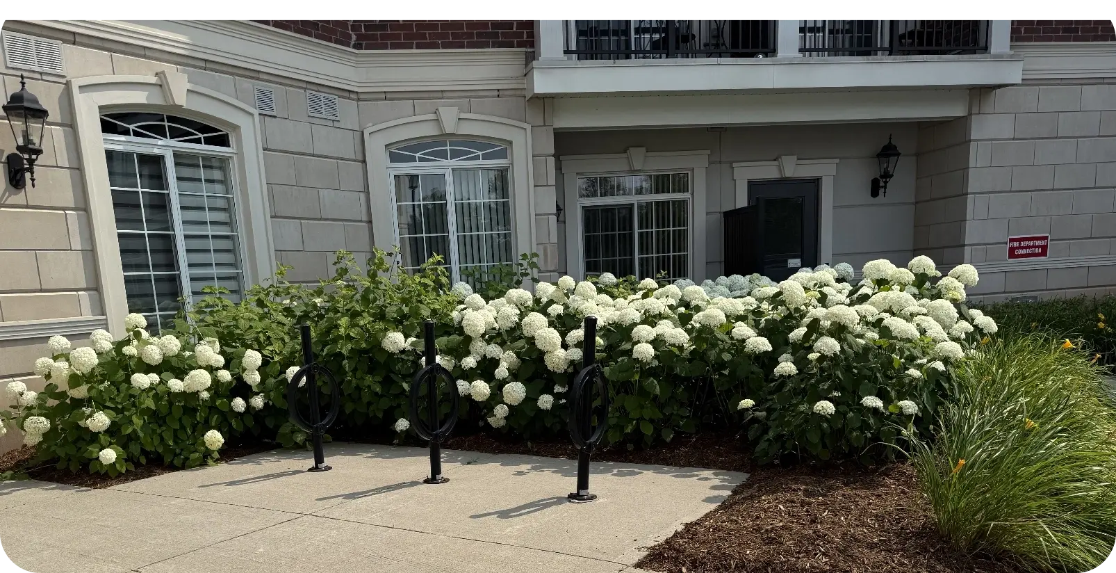 Landscape Bed Care Landscape Bed Care