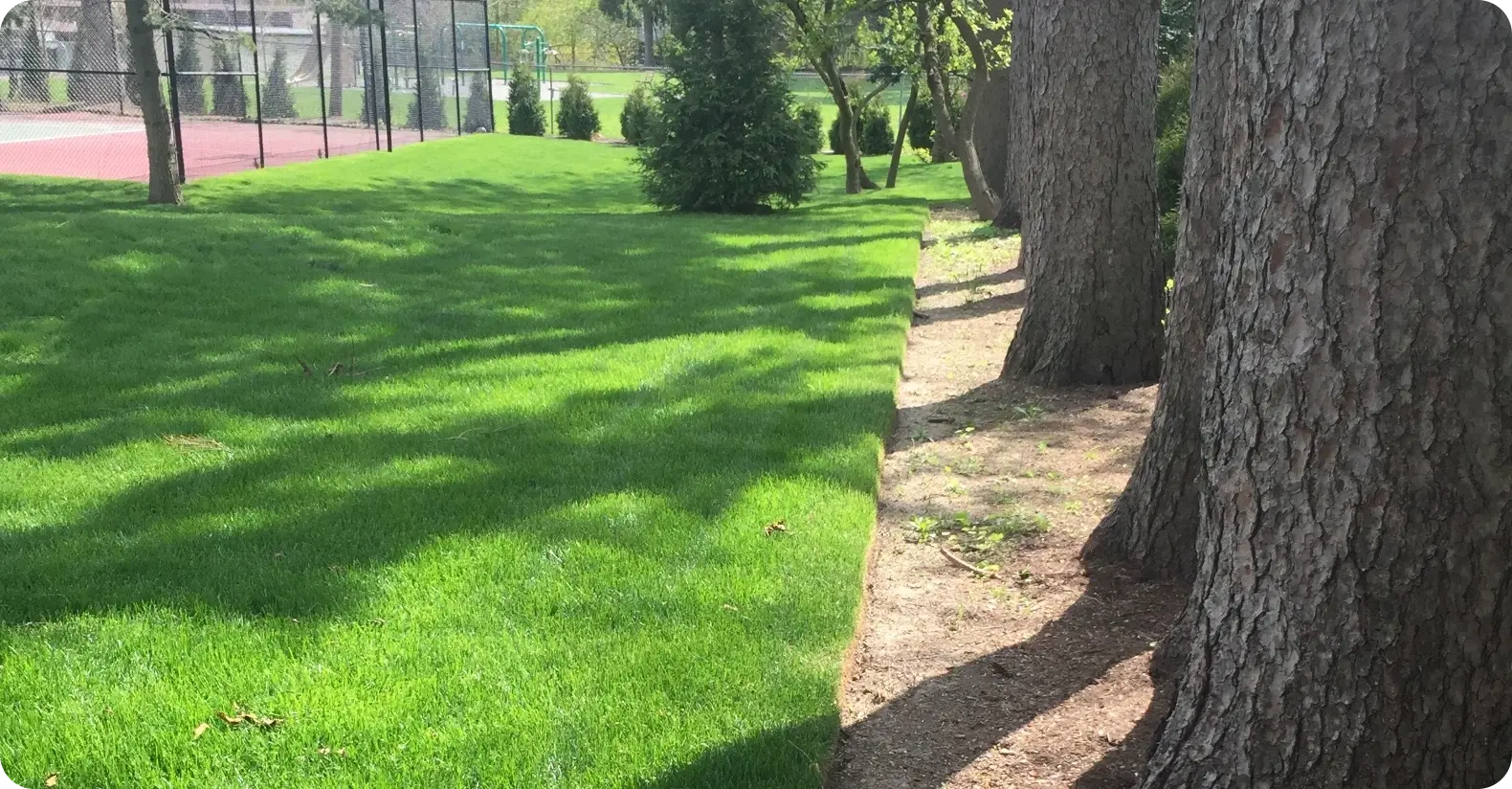 Lawn Care Lawn Care