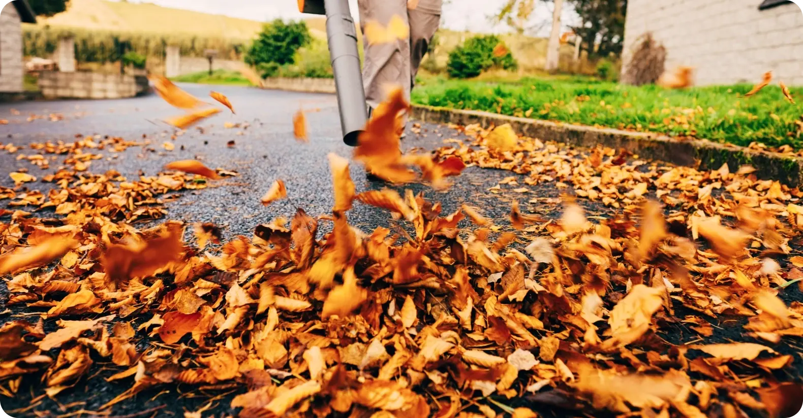 Seasonal Transitions Seasonal Transitions