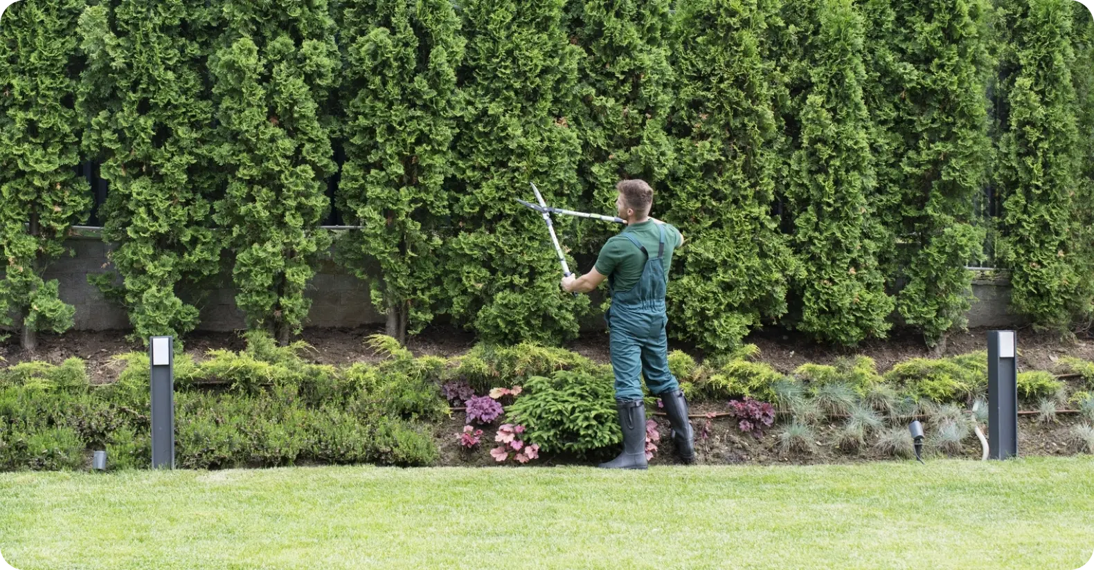 Tree & Visibility Pruning Tree & Visibility Pruning