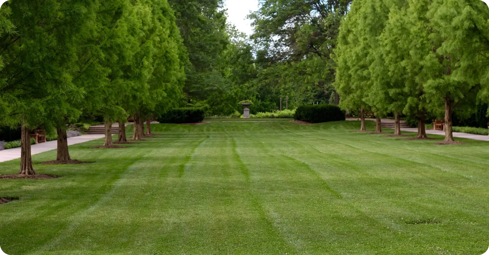 Turf Management Turf Management